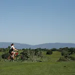 Vale D'oliveiras Quinta & Carvoeiro (Lagoa)