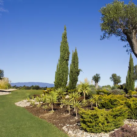 Vale D'oliveiras Quinta &